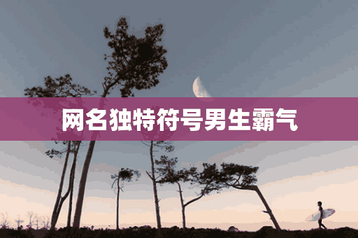 网名独特符号男生霸气(网名独特符号男生霸气两个字)